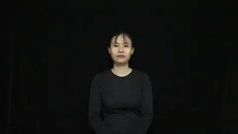 ấn tượng - Ngôn Ngữ ký Hiệu - Vùng miền Thành Phố Hồ Chí Minh - Phân loại Khác