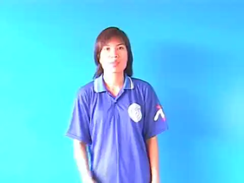 áo da - Ngôn Ngữ ký Hiệu - Vùng miền Hà Nội - Phân loại Trang phục