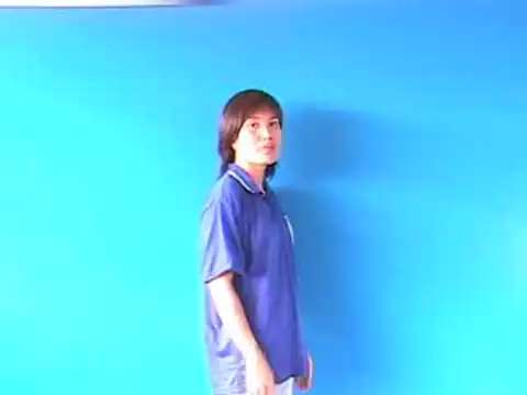 áo đuôi tôm - Ngôn Ngữ ký Hiệu - Vùng miền Hà Nội - Phân loại Trang phục