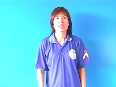 áo phông - Ngôn Ngữ ký Hiệu - Vùng miền Hà Nội - Phân loại Trang phục