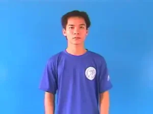 áp lực - Ngôn Ngữ ký Hiệu - Vùng miền Hà Nội - Phân loại Tính cách - Tính chất