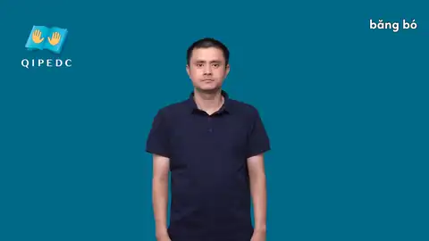 băng bó - Ngôn Ngữ ký Hiệu - Vùng miền Toàn Quốc - Phân loại Động Từ