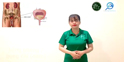 bàng quang (nam) - Ngôn Ngữ ký Hiệu - Vùng miền Thành Phố Hồ Chí Minh - Phân loại Sức khỏe - Bộ phận cơ thể, Danh Từ, Dự Án 250 Ký Hiệu Y Khoa
