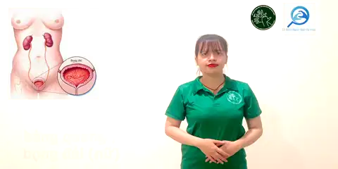 bàng quang (nữ) - Ngôn Ngữ ký Hiệu - Vùng miền Thành Phố Hồ Chí Minh - Phân loại Sức khỏe - Bộ phận cơ thể, Danh Từ, Dự Án 250 Ký Hiệu Y Khoa