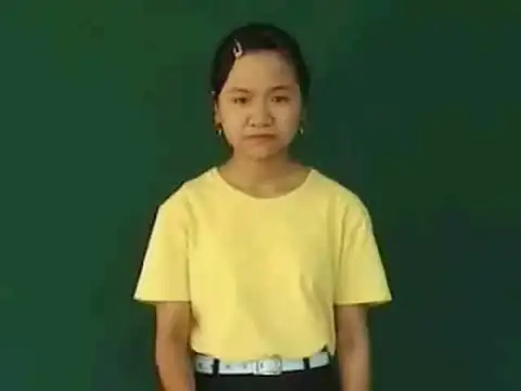 bánh chưng - Ngôn Ngữ ký Hiệu - Vùng miền Huế - Phân loại Ẩm thực - Món ăn