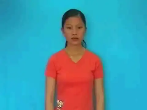 bánh chưng - Ngôn Ngữ ký Hiệu - Vùng miền Lâm Đồng - Phân loại Ẩm thực - Món ăn