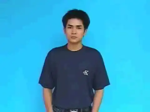 bánh chưng - Ngôn Ngữ ký Hiệu - Vùng miền Hải Phòng - Phân loại Ẩm thực - Món ăn