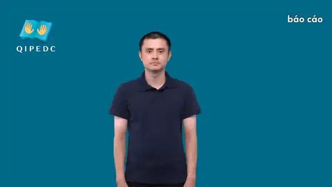 báo cáo - Ngôn Ngữ ký Hiệu - Vùng miền Toàn Quốc - Phân loại Khác