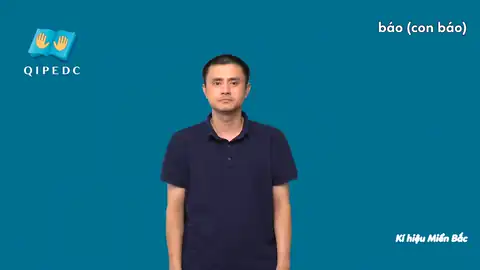 báo (con báo) - Ngôn Ngữ ký Hiệu - Vùng miền Hà Nội - Phân loại Con vật