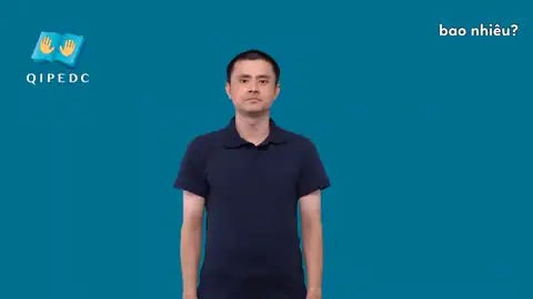 bao nhiêu? - Ngôn Ngữ ký Hiệu - Vùng miền Toàn Quốc - Phân loại Câu hỏi