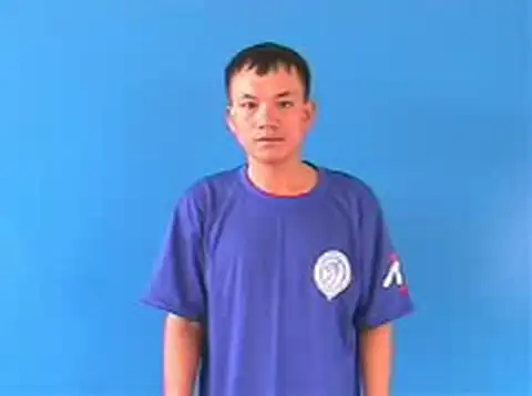 bắp chuối - Ngôn Ngữ ký Hiệu - Vùng miền Hà Nội - Phân loại Thực Vật, Danh Từ