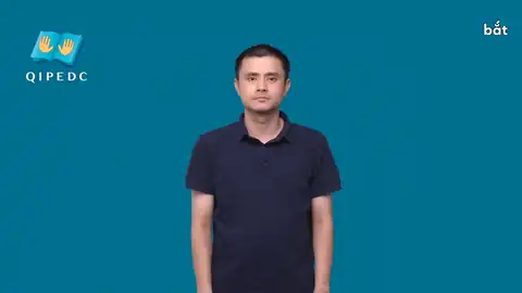 bắt - Ngôn Ngữ ký Hiệu - Vùng miền Toàn Quốc - Phân loại Động Từ