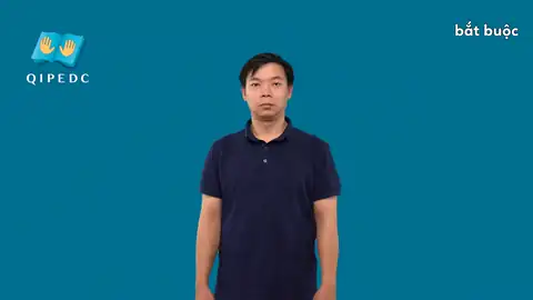 bắt buộc - Ngôn Ngữ ký Hiệu - Vùng miền Toàn Quốc - Phân loại Khác