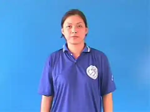 bất đồng bộ - Ngôn Ngữ ký Hiệu - Vùng miền Hà Nội - Phân loại Tính cách - Tính chất
