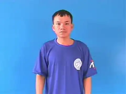 bầu cử - Ngôn Ngữ ký Hiệu - Vùng miền Hà Nội - Phân loại Hành động