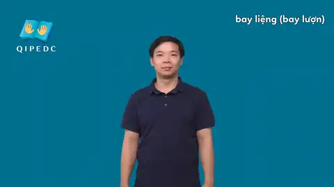 bay liệng (bay lượn) - Ngôn Ngữ ký Hiệu - Vùng miền Toàn Quốc - Phân loại Động Từ