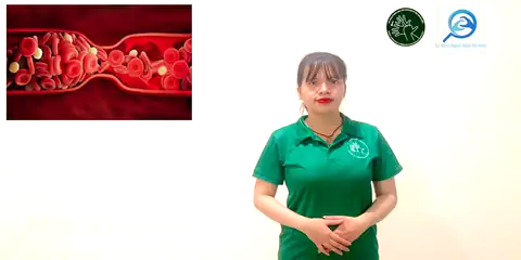 bệnh đông máu - Ngôn Ngữ ký Hiệu - Vùng miền Thành Phố Hồ Chí Minh - Phân loại Sức khỏe - Bộ phận cơ thể, Danh Từ, Dự Án 250 Ký Hiệu Y Khoa