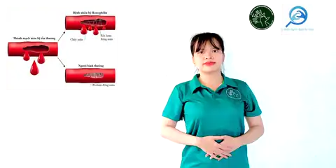 bệnh máu khó đông - Ngôn Ngữ ký Hiệu - Vùng miền Thành Phố Hồ Chí Minh - Phân loại Sức khỏe - Bộ phận cơ thể, Danh Từ, Dự Án 250 Ký Hiệu Y Khoa