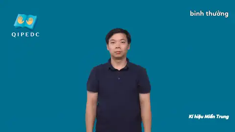 bình thường - Ngôn Ngữ ký Hiệu - Vùng miền Miền Trung - Phân loại Khác