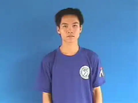 bộ xử lý - Ngôn Ngữ ký Hiệu - Vùng miền Hà Nội - Phân loại Tin học
