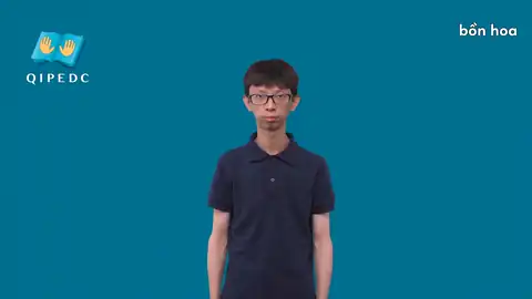 bồn hoa - Ngôn Ngữ ký Hiệu - Vùng miền Toàn Quốc - Phân loại Đồ vật, Thực Vật