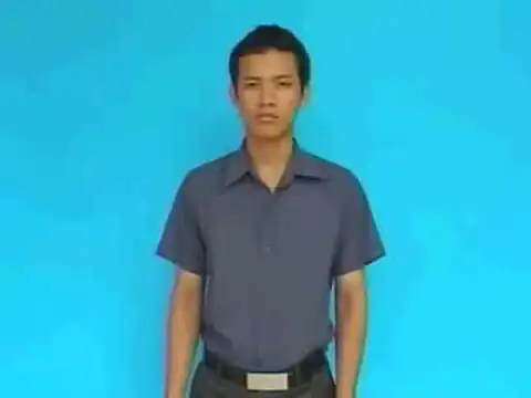 cá heo - Ngôn Ngữ ký Hiệu - Vùng miền Hải Phòng - Phân loại Con vật