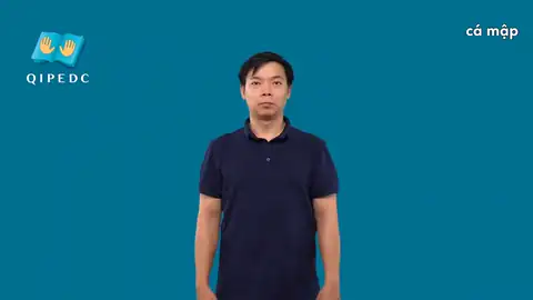 cá mập - Ngôn Ngữ ký Hiệu - Vùng miền Toàn Quốc - Phân loại Con vật