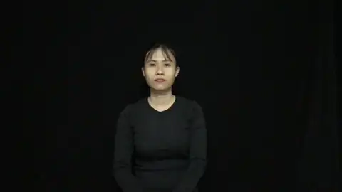 cá ngựa - Ngôn Ngữ ký Hiệu - Vùng miền Thành Phố Hồ Chí Minh - Phân loại Con vật