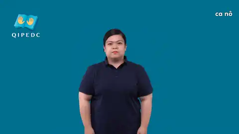 ca nô - Ngôn Ngữ ký Hiệu - Vùng miền Toàn Quốc - Phân loại Giao Thông