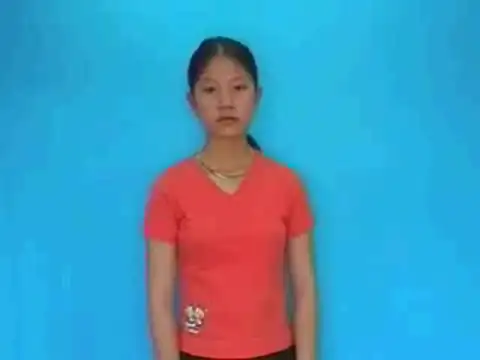 cá sấu - Ngôn Ngữ ký Hiệu - Vùng miền Lâm Đồng - Phân loại Con vật