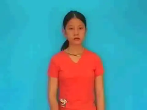 cái cày - Ngôn Ngữ ký Hiệu - Vùng miền Lâm Đồng - Phân loại Đồ vật