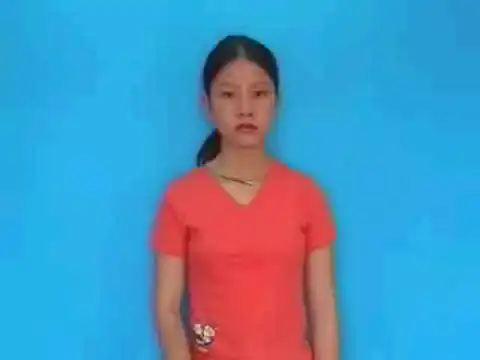 cái chày - Ngôn Ngữ ký Hiệu - Vùng miền Lâm Đồng - Phân loại Đồ vật