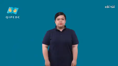 cái túi - Ngôn Ngữ ký Hiệu - Vùng miền Toàn Quốc - Phân loại Đồ vật