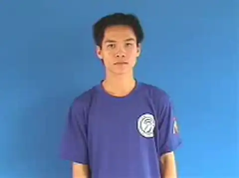 canh phải - Ngôn Ngữ ký Hiệu - Vùng miền Hà Nội - Phân loại Tin học