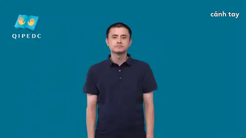 cánh tay - Ngôn Ngữ ký Hiệu - Vùng miền Toàn Quốc - Phân loại Bộ Phận Cơ Thể