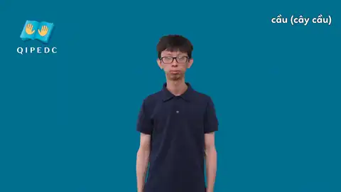 cầu (cây cầu) - Ngôn Ngữ ký Hiệu - Vùng miền Toàn Quốc - Phân loại Giao Thông