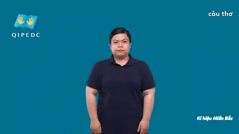câu thơ - Ngôn Ngữ ký Hiệu - Vùng miền Hà Nội - Phân loại