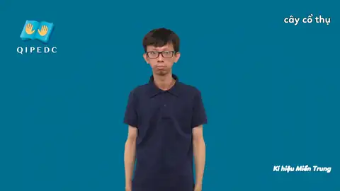 cây cổ thụ - Ngôn Ngữ ký Hiệu - Vùng miền Miền Trung - Phân loại Thực Vật