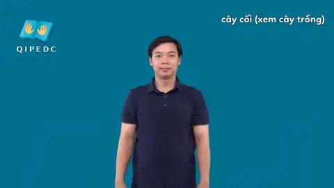 cây cối - Ngôn Ngữ ký Hiệu - Vùng miền Toàn Quốc - Phân loại Thực Vật