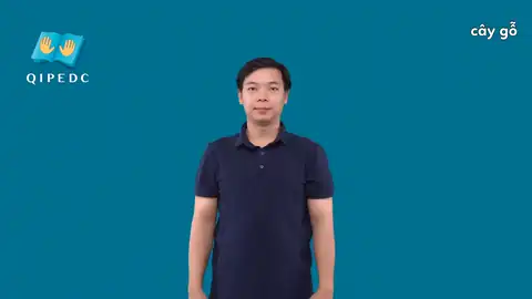 cây gỗ - Ngôn Ngữ ký Hiệu - Vùng miền Toàn Quốc - Phân loại Thực Vật