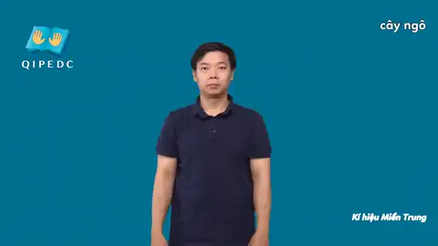 cây ngô - Ngôn Ngữ ký Hiệu - Vùng miền Miền Trung - Phân loại Thực Vật
