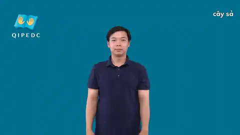 cây sả - Ngôn Ngữ ký Hiệu - Vùng miền Toàn Quốc - Phân loại Thực Vật