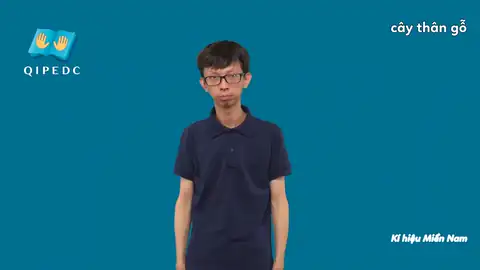 cây thân gỗ - Ngôn Ngữ ký Hiệu - Vùng miền Thành Phố Hồ Chí Minh - Phân loại Thực Vật