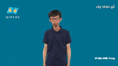 cây thân gỗ - Ngôn Ngữ ký Hiệu - Vùng miền Miền Trung - Phân loại Thực Vật