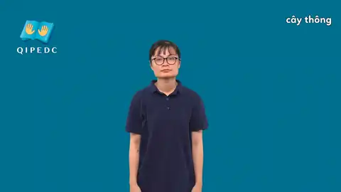 cây thông - Ngôn Ngữ ký Hiệu - Vùng miền Toàn Quốc - Phân loại Thực Vật