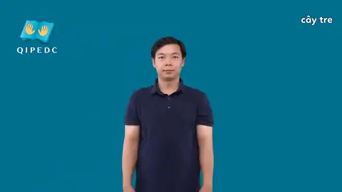 cây tre - Ngôn Ngữ ký Hiệu - Vùng miền Toàn Quốc - Phân loại Thực Vật