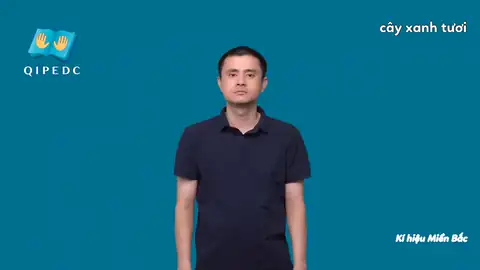 cây xanh tươi - Ngôn Ngữ ký Hiệu - Vùng miền Hà Nội - Phân loại