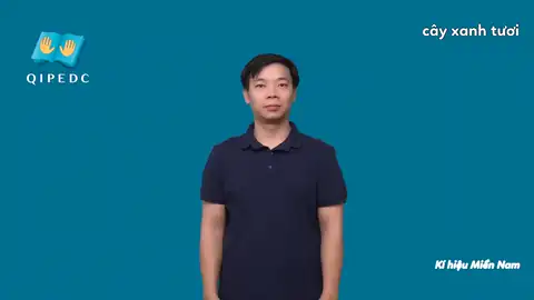 cây xanh tươi - Ngôn Ngữ ký Hiệu - Vùng miền Thành Phố Hồ Chí Minh - Phân loại