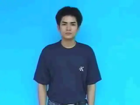 chăm chỉ - Ngôn Ngữ ký Hiệu - Vùng miền Hải Phòng - Phân loại Tính cách - Tính chất