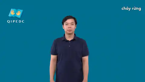 cháy rừng - Ngôn Ngữ ký Hiệu - Vùng miền Toàn Quốc - Phân loại Khác